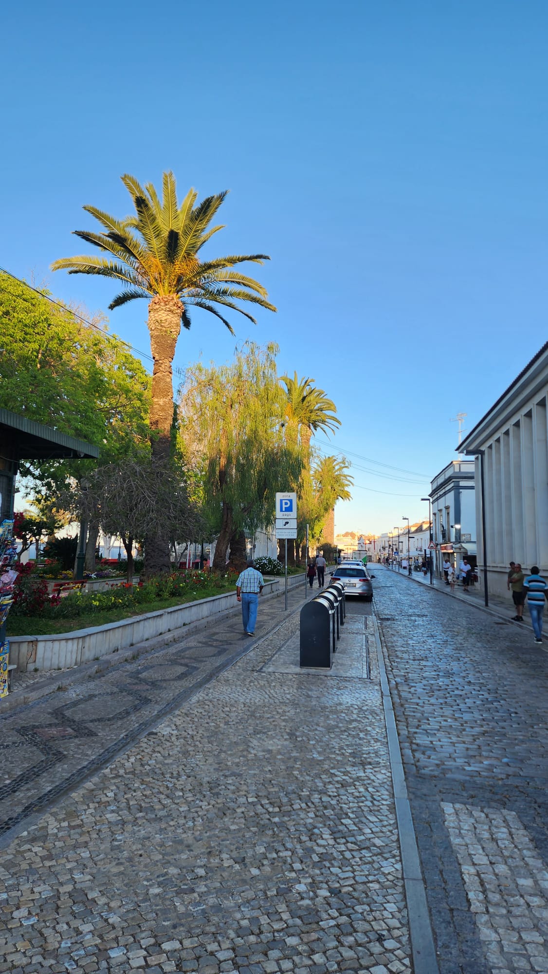 A cobblestone street lined with tall palm trees and lush greenery, with a few people walking along the sidewalk. The sky is clear and blue, and a parked car is visible on the right near a "P" parking sign.