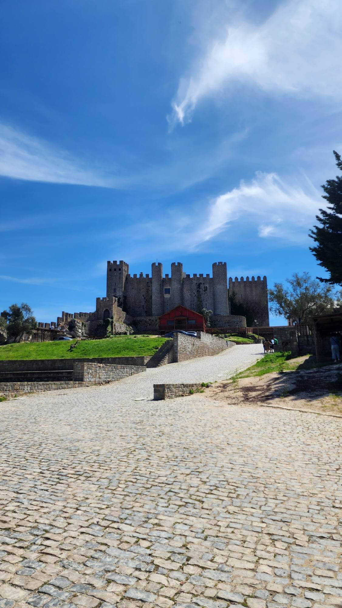 A majestic stone castle with tall, crenelated towers stands on a grassy hill under a bright blue sky with wispy clouds. A cobblestone path leads up to the entrance, flanked by trees and greenery.