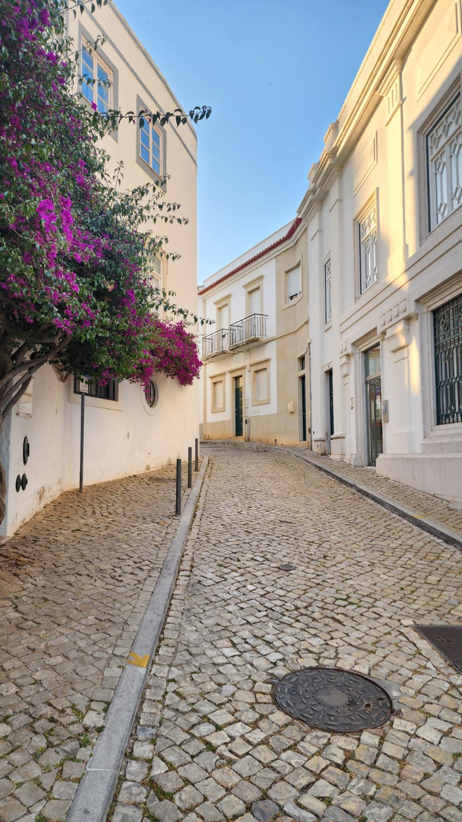 A charming cobblestone street curves between two elegant, light-colored buildings, with vibrant purple bougainvillea cascading over the wall on the left. The clear blue sky adds a serene backdrop to this picturesque scene.