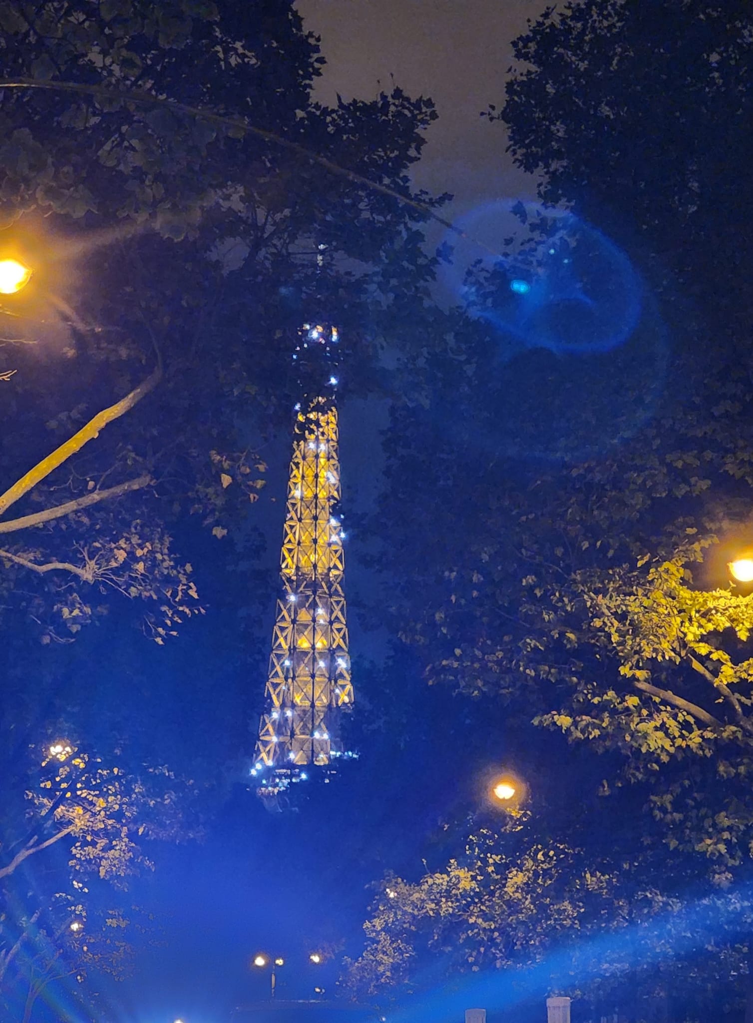 The illuminated Eiffel Tower is partially obscured by tree branches at night, with glowing streetlights casting a warm glow in the foreground and a blue lens flare visible in the sky.