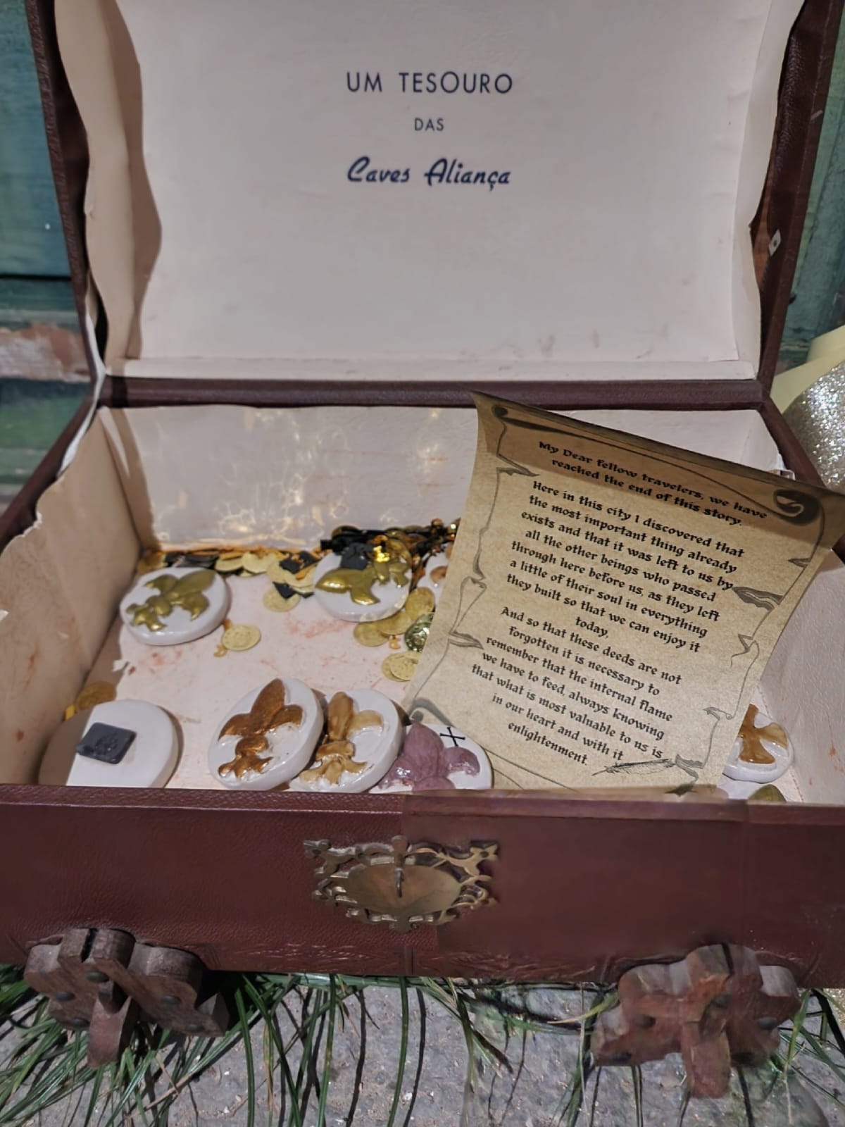 An open treasure chest labeled "Um Tesouro das Caves Aliança" contains gold coins, decorative medallions with fleur-de-lis designs, and a scroll with text. The chest sits on grass, adding a sense of discovery and adventure.