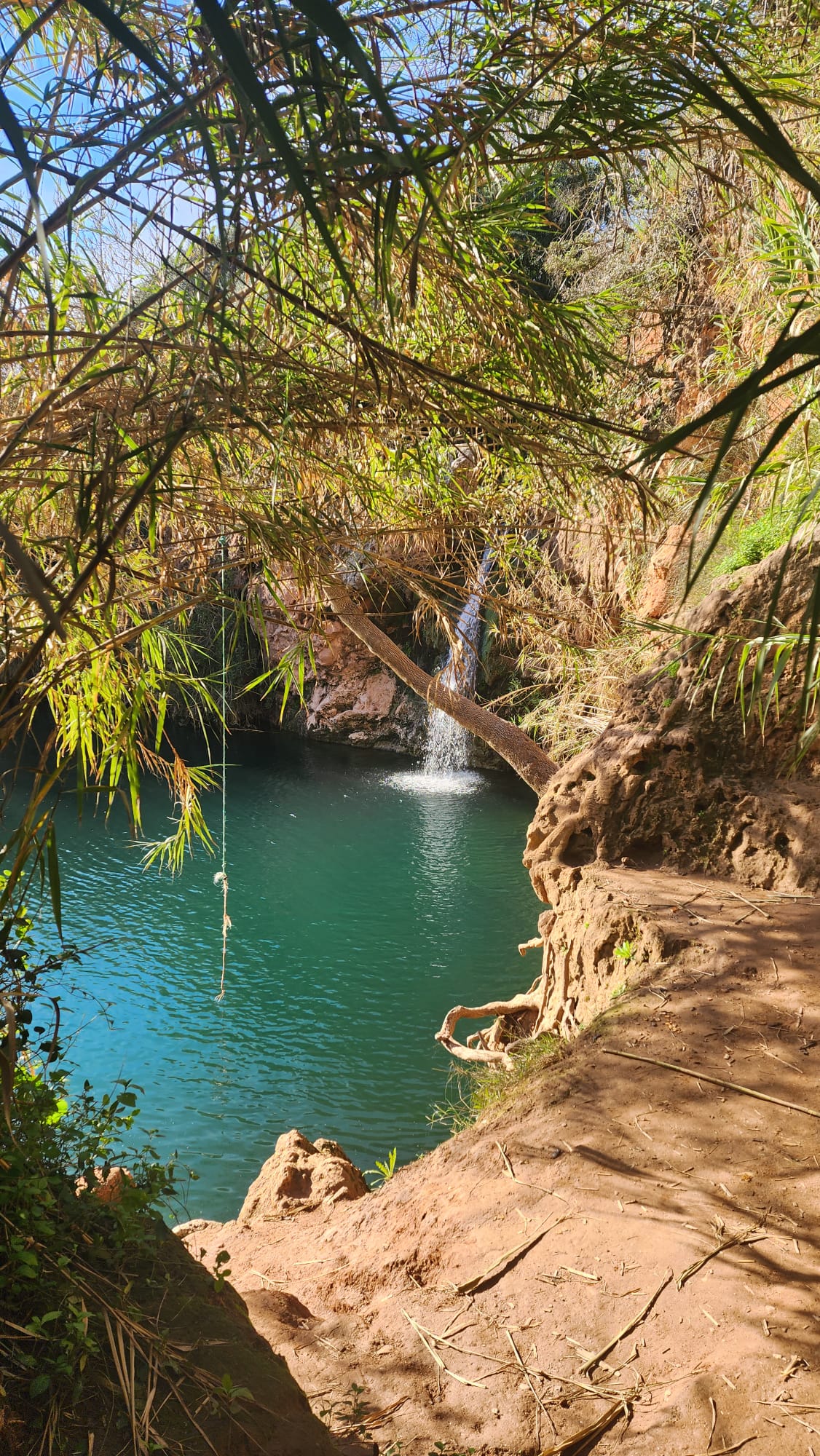 A small waterfall cascades into a serene turquoise pool surrounded by lush greenery and rocky terrain under a bright blue sky.