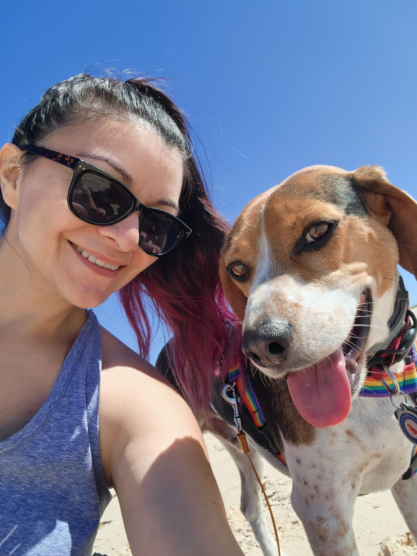 A woman with sunglasses and a ponytail smiles next to a happy dog wearing a rainbow harness, both enjoying a sunny day on the beach with a clear blue sky above.
