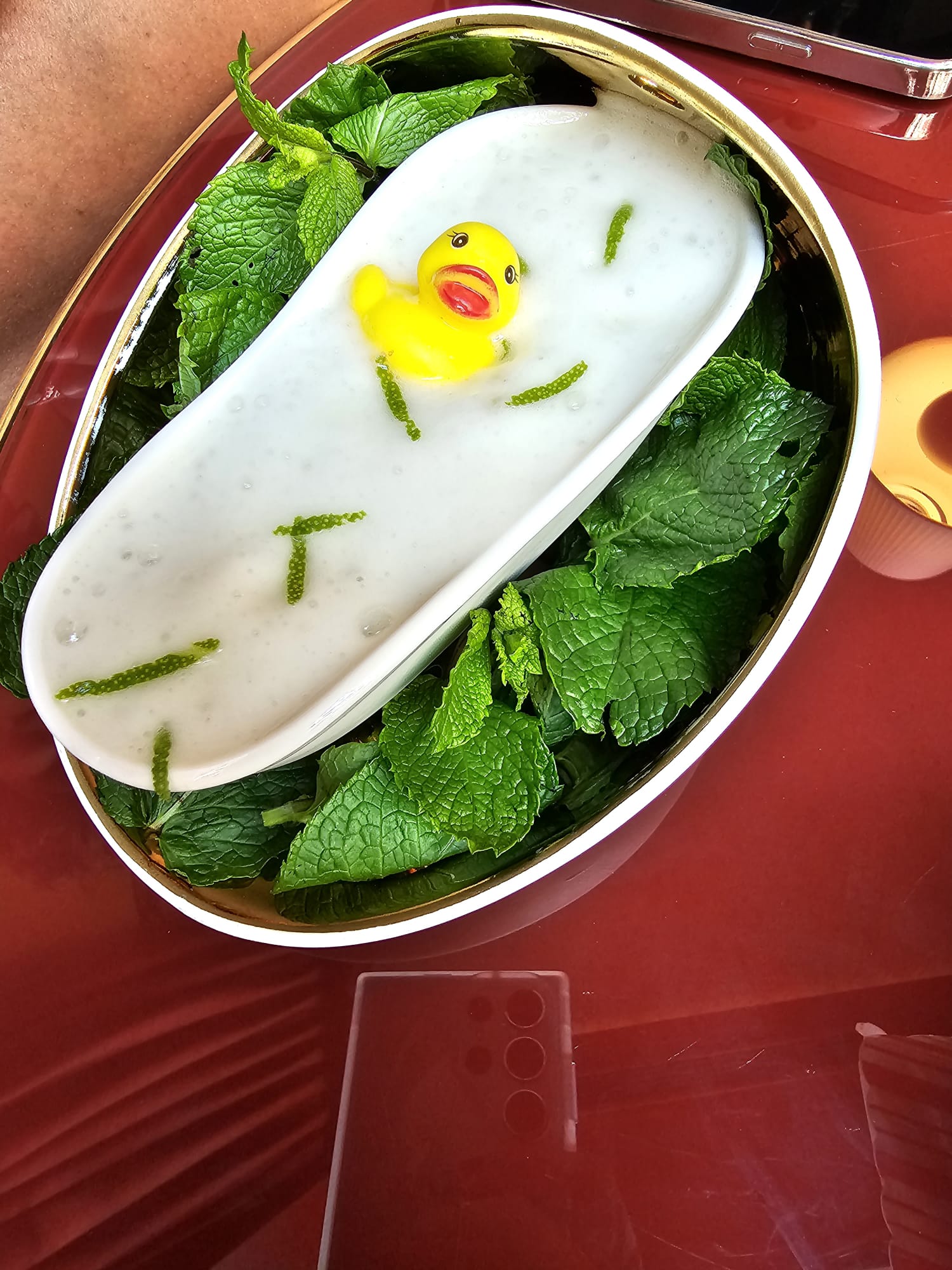 A whimsical dish featuring a small yellow rubber duck floating in a creamy white sauce, garnished with green herbs, and surrounded by fresh mint leaves in a bowl.