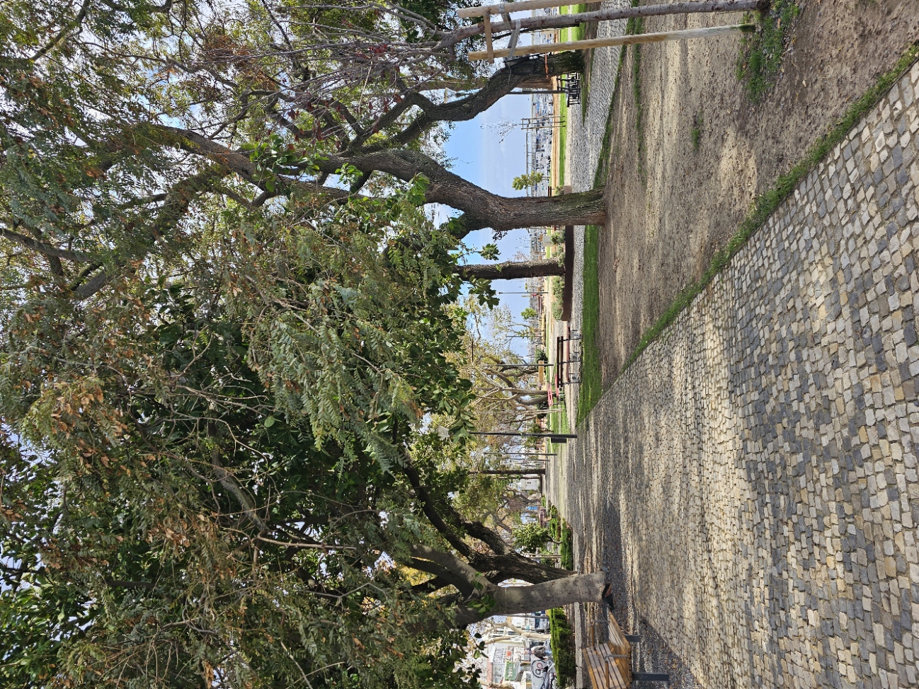 Tree lined park pathway near the Olhão waterfront in the Algarve