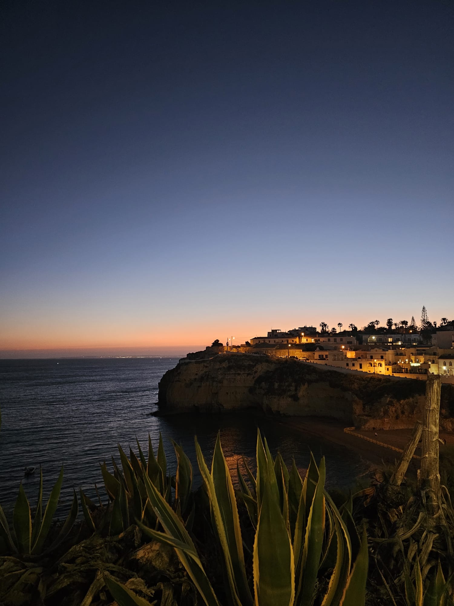 Sunset view over the cliffs and ocean at Carvoeiro, Algarve, Portugal with agave plants in the foreground
