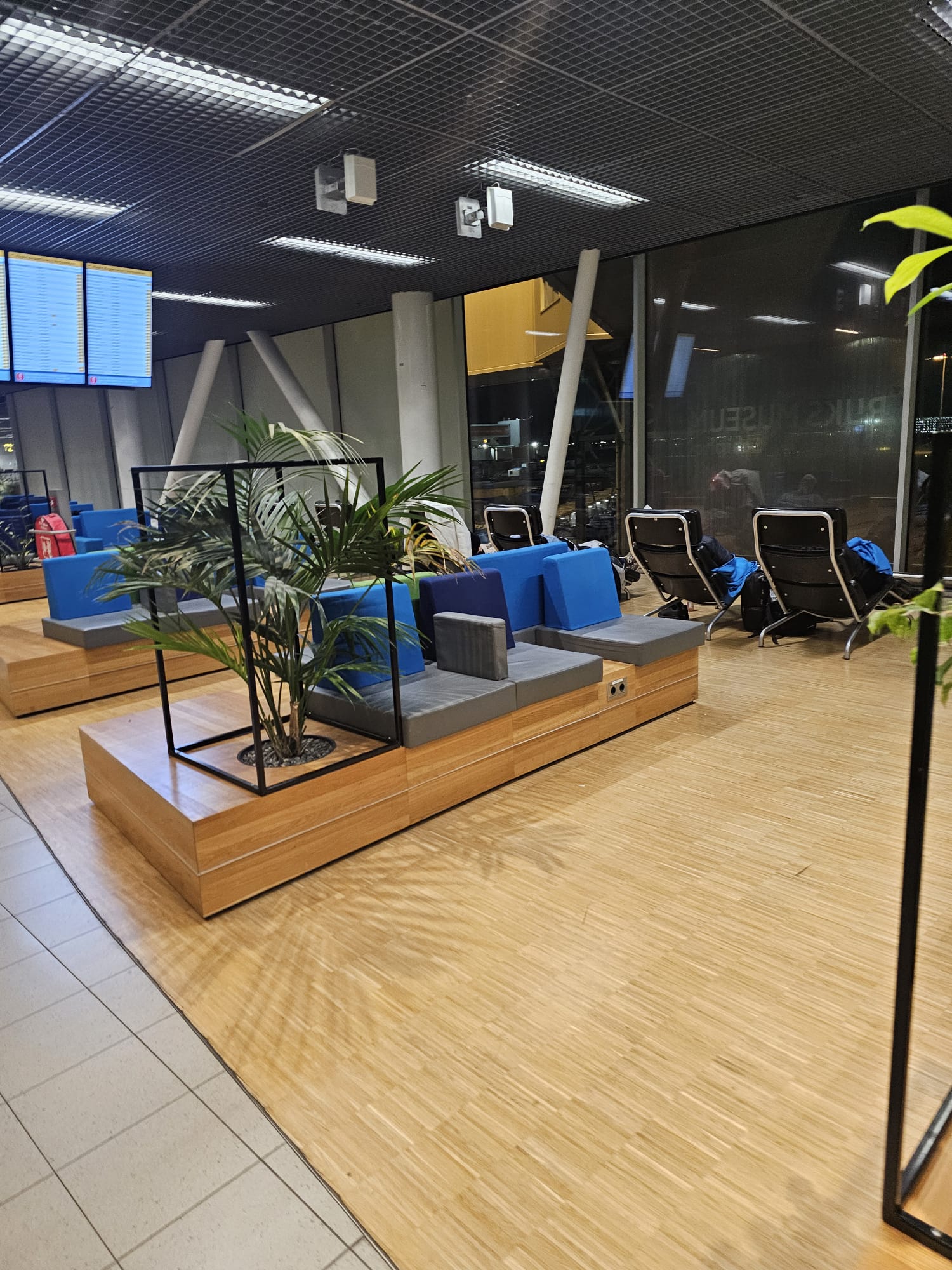 Comfortable lounge seating area with blue chairs and plants inside Amsterdam Schiphol Airport during an overnight layover