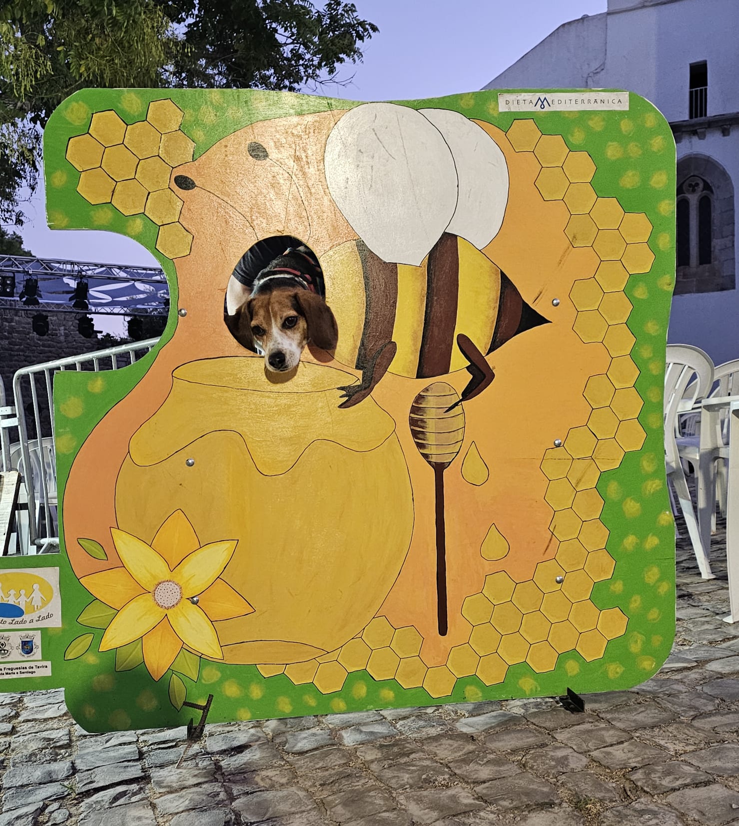 Bodhi the beagle poking his head through a decorative honeybee photo cutout board at the Mediterranean Diet Fair in Portugal