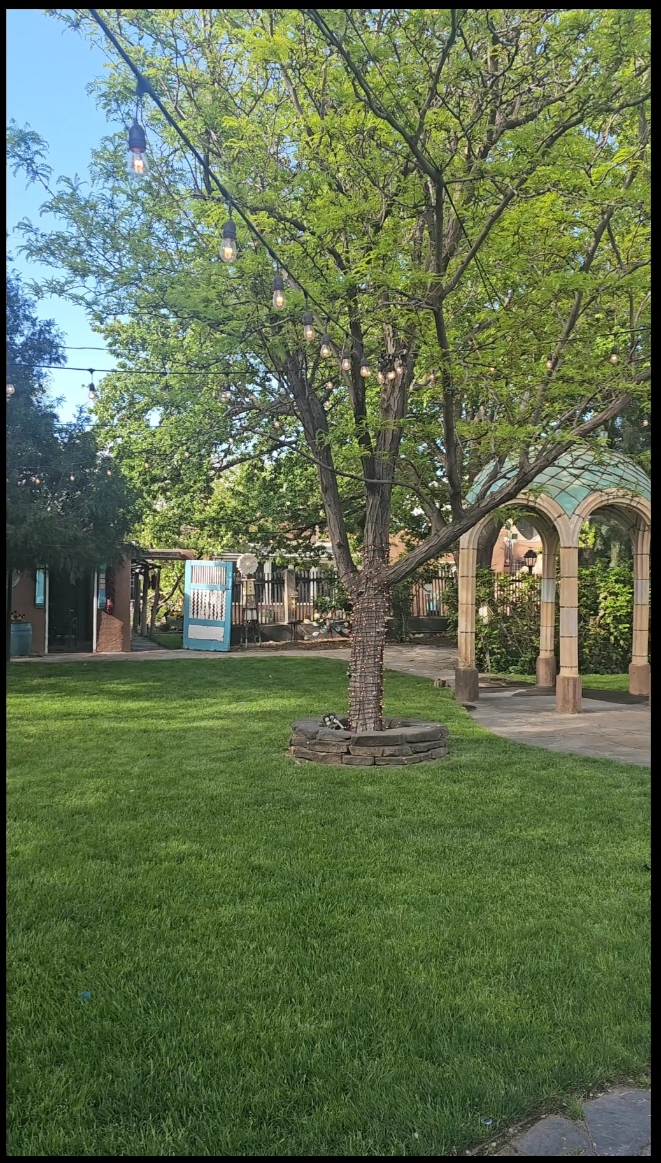 Lush green courtyard with a large shade tree strung with Edison bulb lights and Southwest-style arched walkway at Casas de Suenos bed and breakfast
