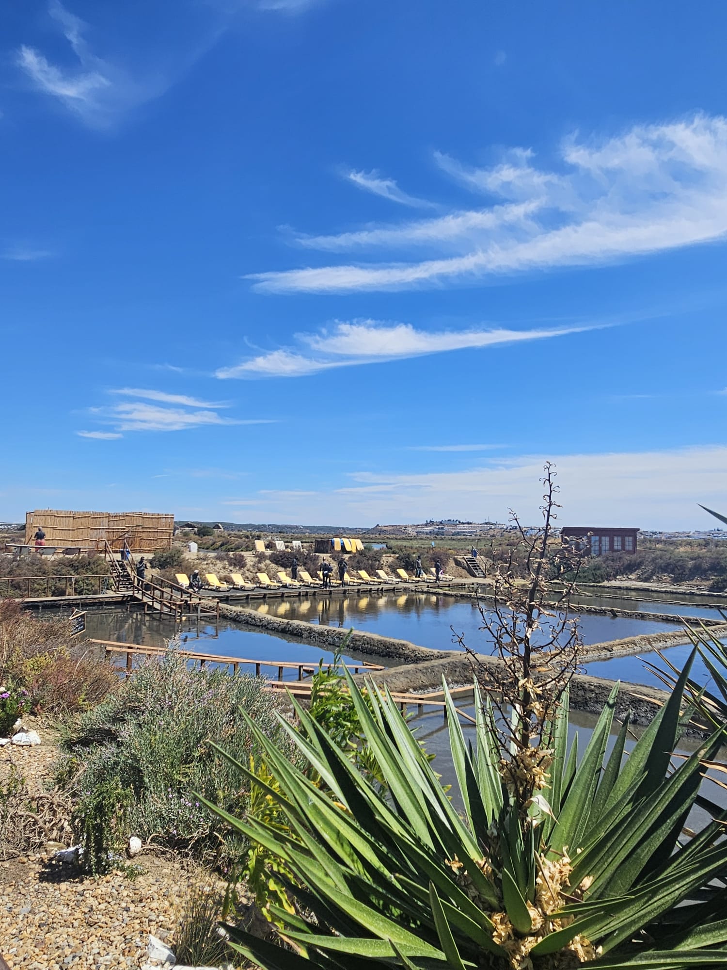 Spa Salino salt flat pools with wooden walkways, yellow lounge chairs, and agave plants in the foreground under a blue sky in the Algarve, Portugal