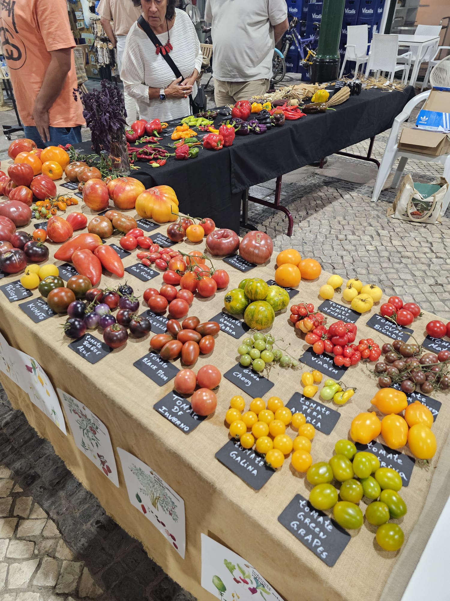 Colorful display of heirloom tomato varieties labeled and arranged on a market table at the Mediterranean Diet Fair in Portugal