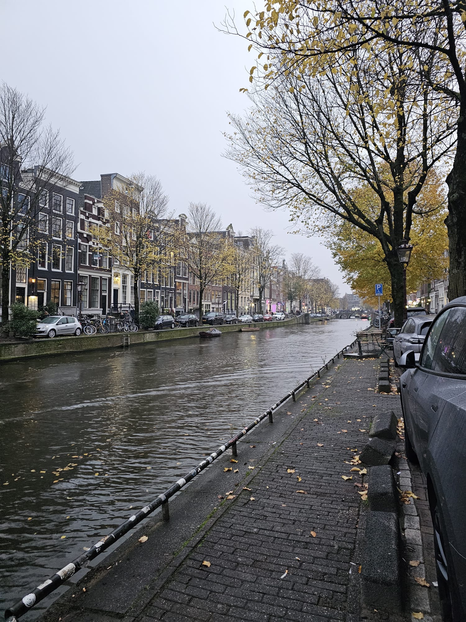 Tree-lined canal with parked cars along the brick embankment and historic Dutch townhouses in Amsterdam, Netherlands