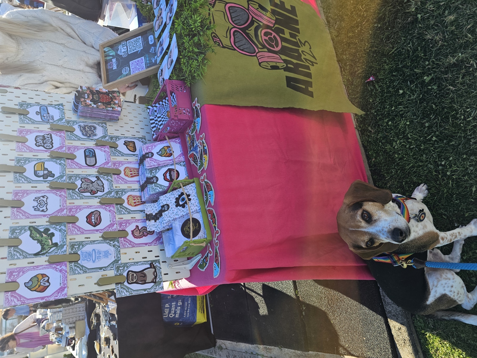 Colorful artist marketplace booth with illustrated prints and packaged goods on a bright pink table at Sol de Inverno Festival
