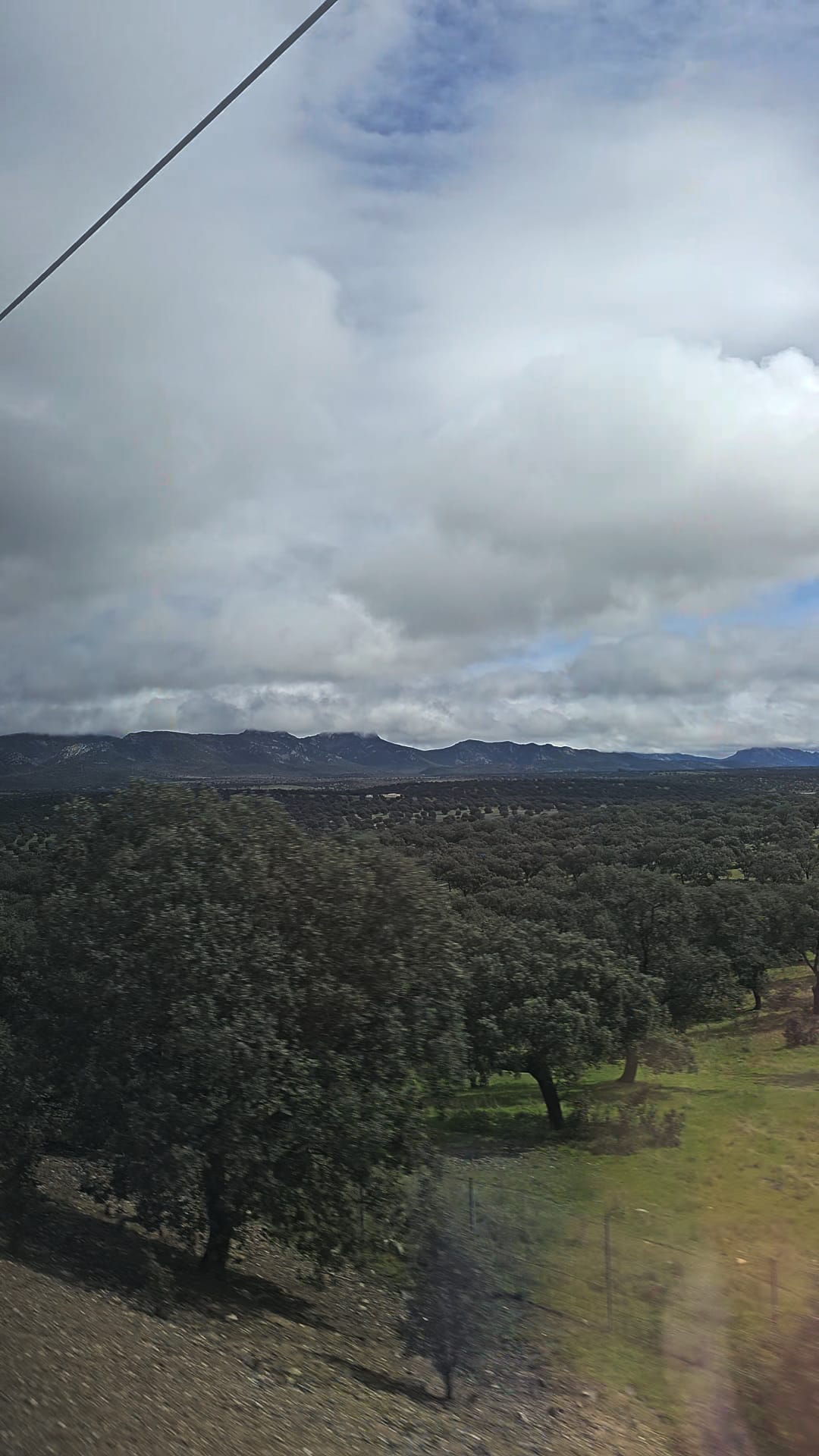 A landscape photograph of a dense forest of trees in the Spanish countryside under a cloudy sky. Overlaid text reads: 'How pretty is the Spanish countryside'."